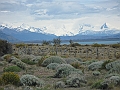 Patagonie 152